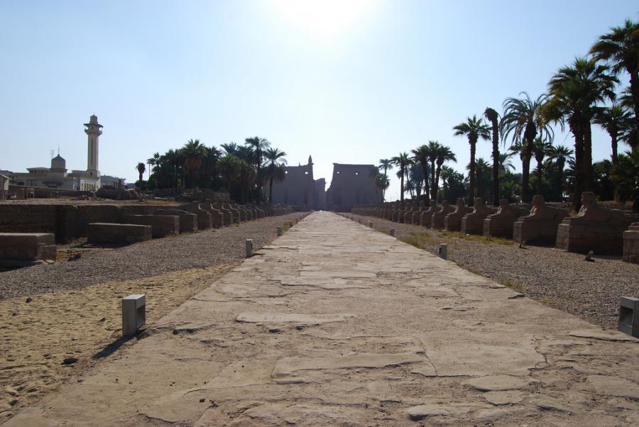 tempio-di-luxor-egitto (26)